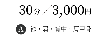 
                  30分/3,000円
                  (D)+襟・肩・背中・肩甲骨