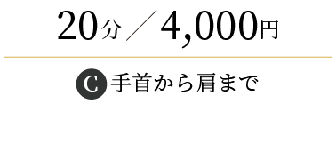
                  20分/3,500円
                  (C)手首から肩まで